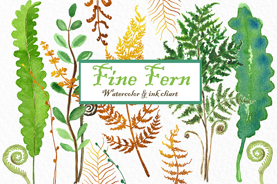 Fine fern. watercolor clipart in Illustrations - product preview 8