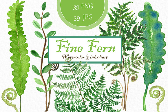 Fine fern. watercolor clipart in Illustrations - product preview 1