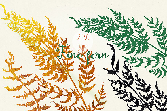 Fine fern. watercolor clipart in Illustrations - product preview 2