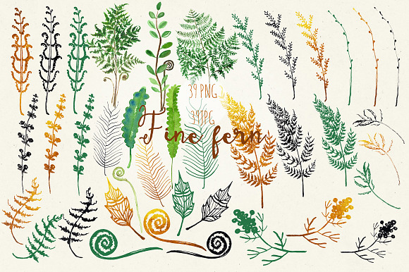 Fine fern. watercolor clipart in Illustrations - product preview 4
