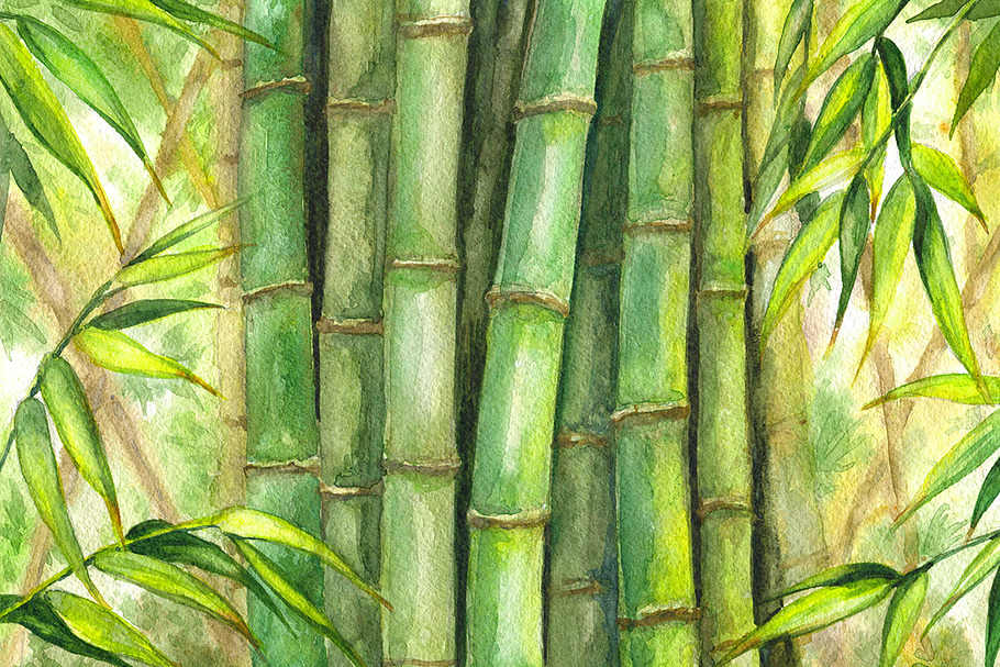 Green Bamboo Background in Illustrations - product preview 8