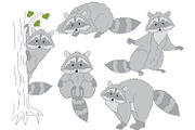  Raccoons Set