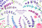 Watercolor Lavender Illustration
