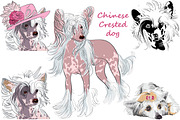 Chinese Crested dog SET
