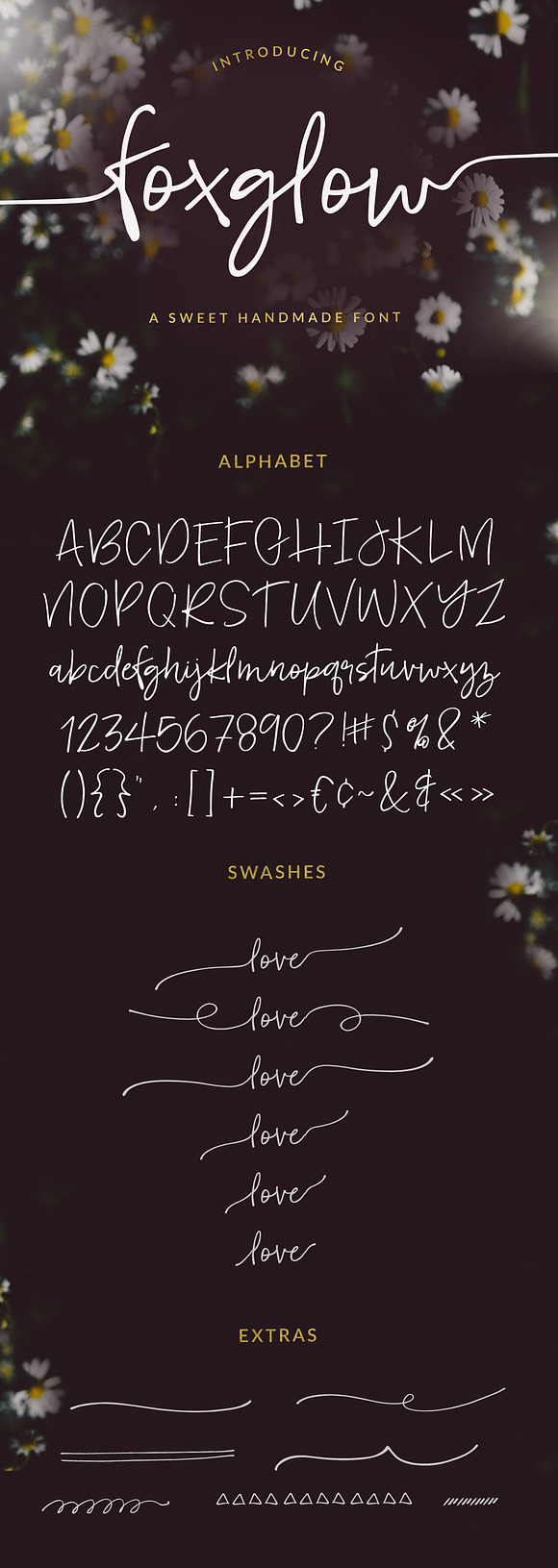 Foxglow Font in Cute Fonts - product preview 6