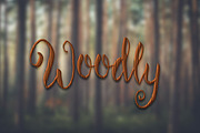 Wood Photoshop Layer Styles v3