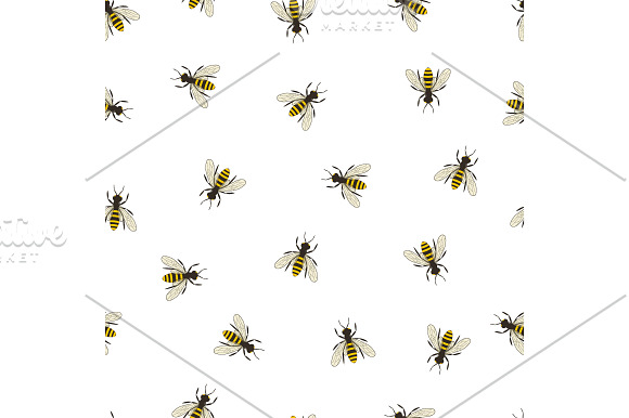 Bee and Sunflower Set.  in Illustrations - product preview 1