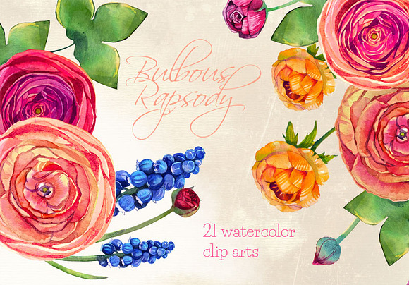 Bulbous Rapsody in Illustrations - product preview 2