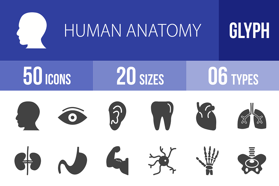 50 Human Anatomy Glyph Icons