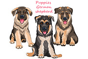 Puppies dog German shepherd SET