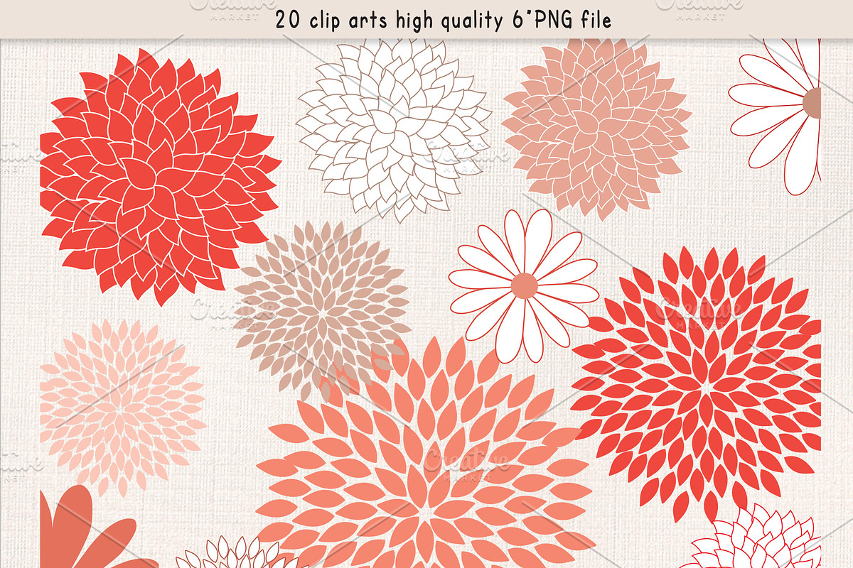 Mum flower coral red clipart in Illustrations - product preview 8