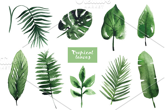 Watercolor tropical leaves in Illustrations - product preview 1