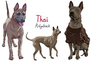 Thai Ridgeback Dog SET