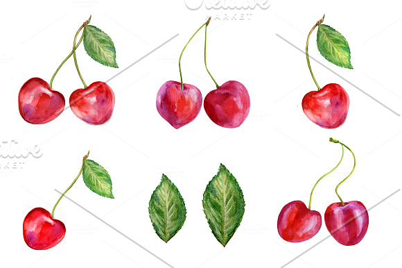 Watercolor Cherry Collection in Patterns - product preview 1