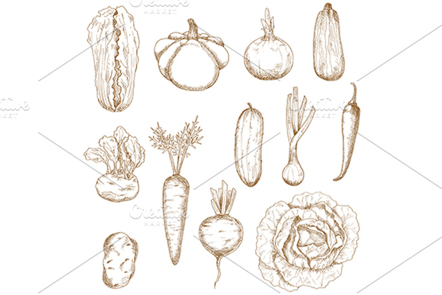 Healthy organic vegetables sketches in Graphics - product preview 8