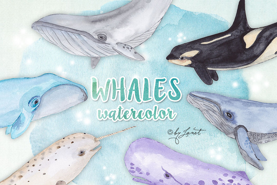 Whales Watercolor