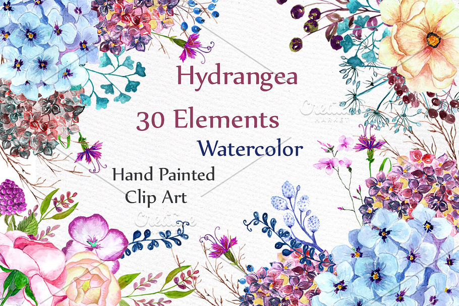 Watercolor hydrangea flowers clipart in Illustrations - product preview 8