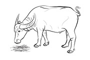 Buffalo eating hay-vector
