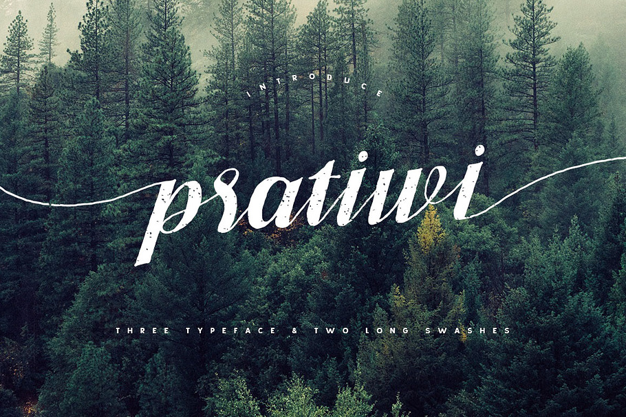 Pratiwi Typeface - Free Swashes in Display Fonts - product preview 8