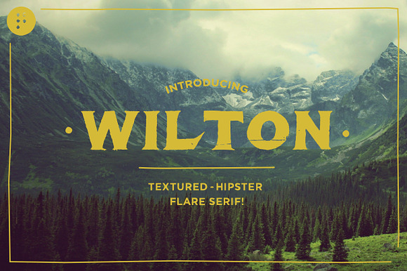Wilton - 50% off 'Thank You' Price! in Display Fonts - product preview 2