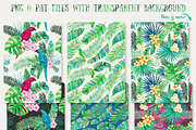 Tropical Vibes, Seamless Patterns