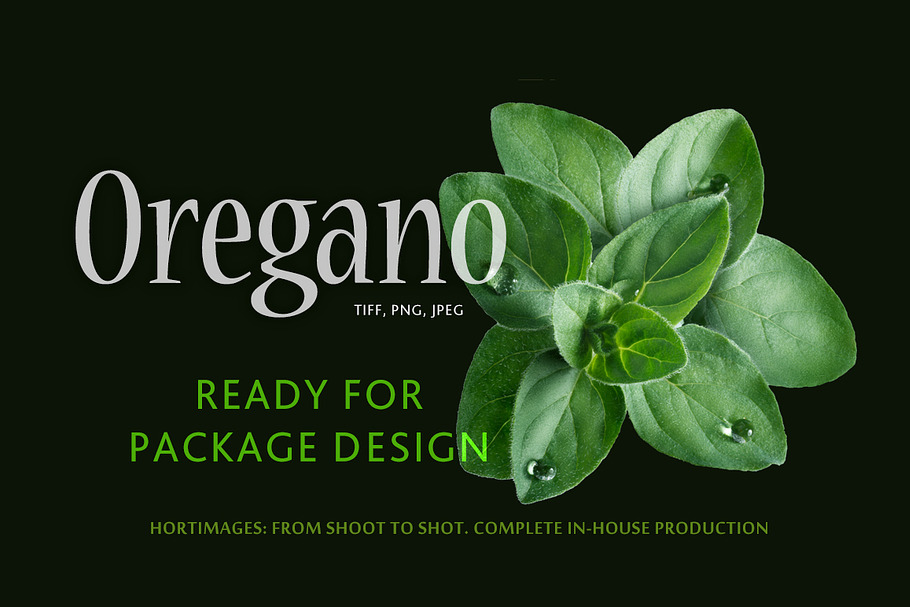Oregano in Objects - product preview 8