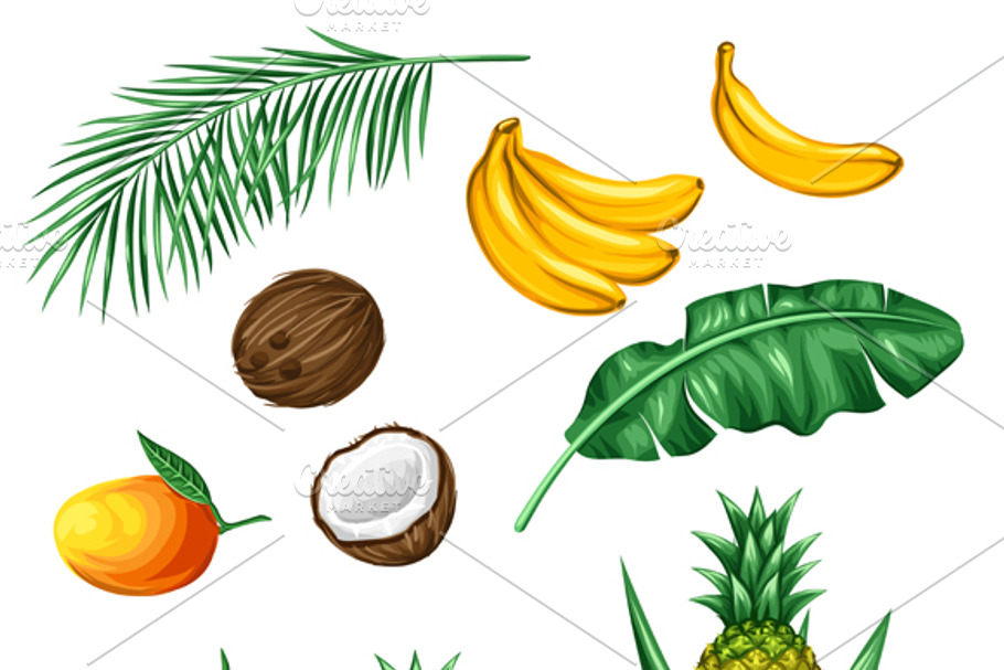 Set of tropical fruits and leaves. in Illustrations - product preview 8