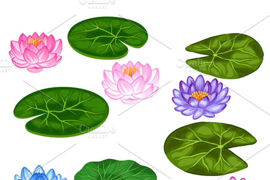 Set of stylized lotus flowers. in Objects - product preview 8
