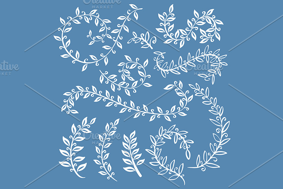 set of hand drawn vector leaves  in Graphics - product preview 8