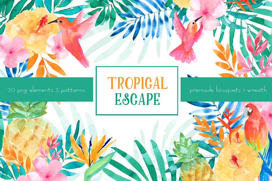 Tropical escape 
