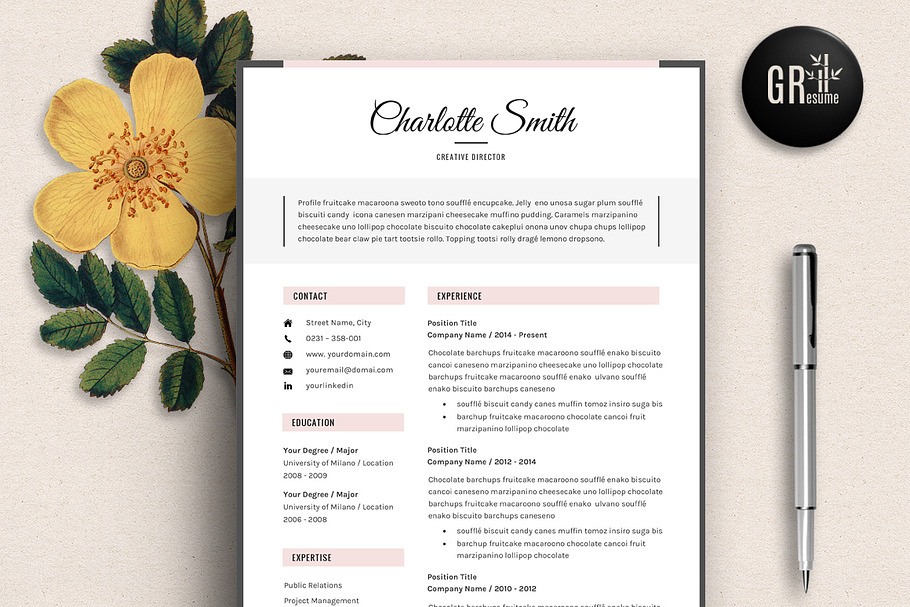 Resume Template | CV Template - 01 in Resume Templates - product preview 8