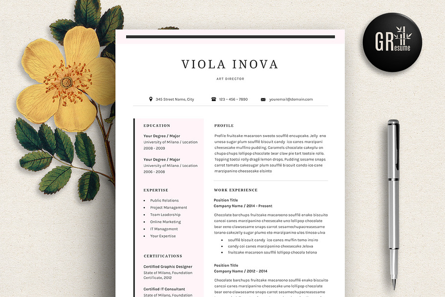 Resume Template | CV Template - 02 in Resume Templates - product preview 8
