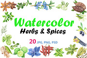 Watercolor Herbs & Spices Collection