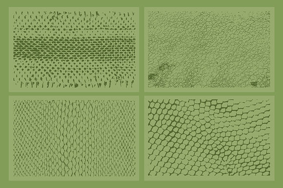 20 Animal Skins Textures - VES11 in Textures - product preview 2