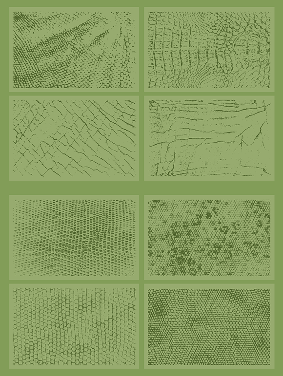20 Animal Skins Textures - VES11 in Textures - product preview 4