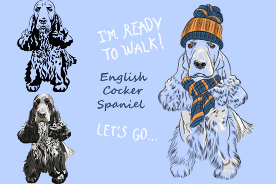dog English Cocker Spaniel SET