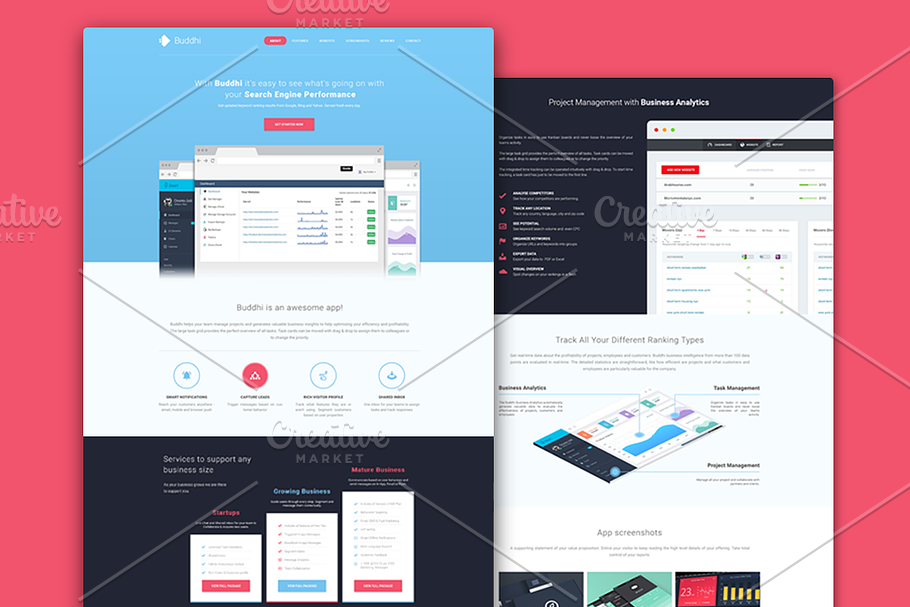 Buddhi - SaaS Landing Page PSD in App Templates - product preview 8