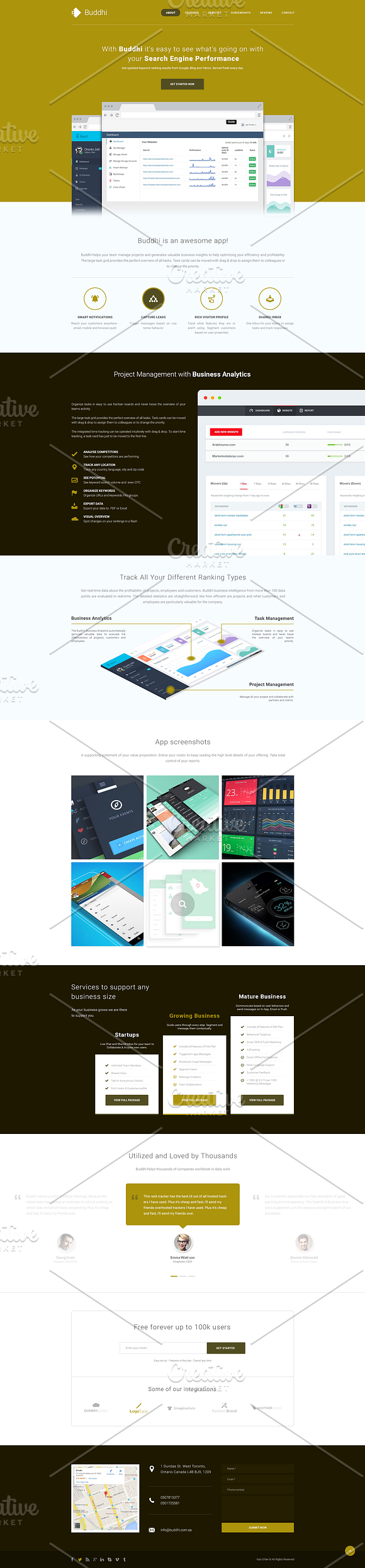 Buddhi - SaaS Landing Page PSD in App Templates - product preview 4