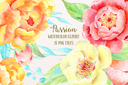 Watercolor Clipart Peony Passion
