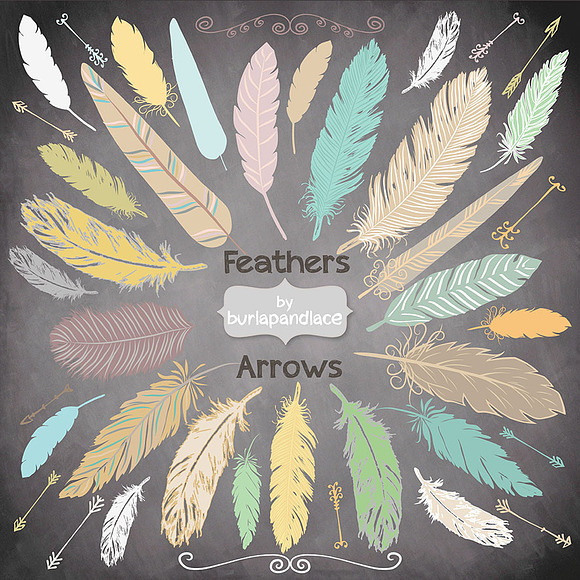 Hand Drawn clipart feathers arrows in Illustrations - product preview 1