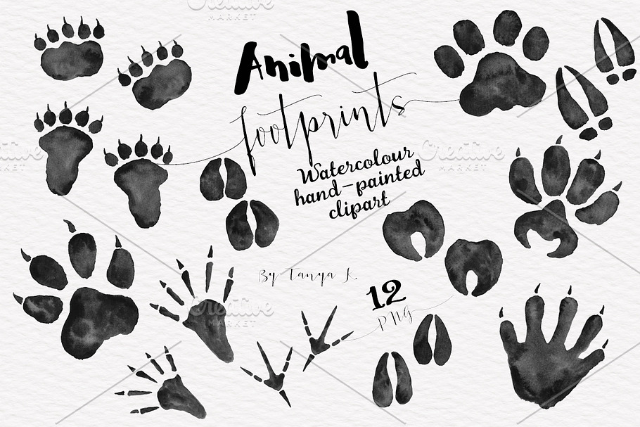 Foot Prints Woodland Animals clipart in Illustrations - product preview 8