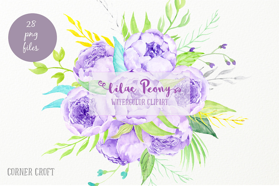Watercolor Clipart Lilac Peony