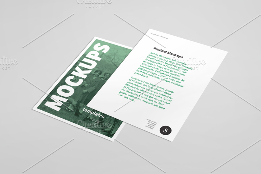 Flyer Mockup - 06 in Print Mockups - product preview 8