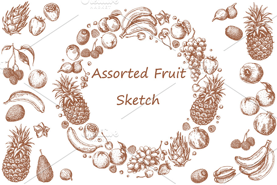 Assorted Fruit Sketch in Illustrations - product preview 8