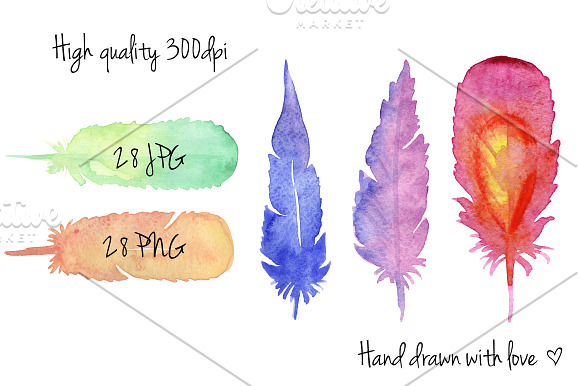 Watercolor hand drawn feathers set in Illustrations - product preview 2