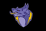 Dragon Sport Logotype