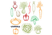 Vegetables sketches in retro style