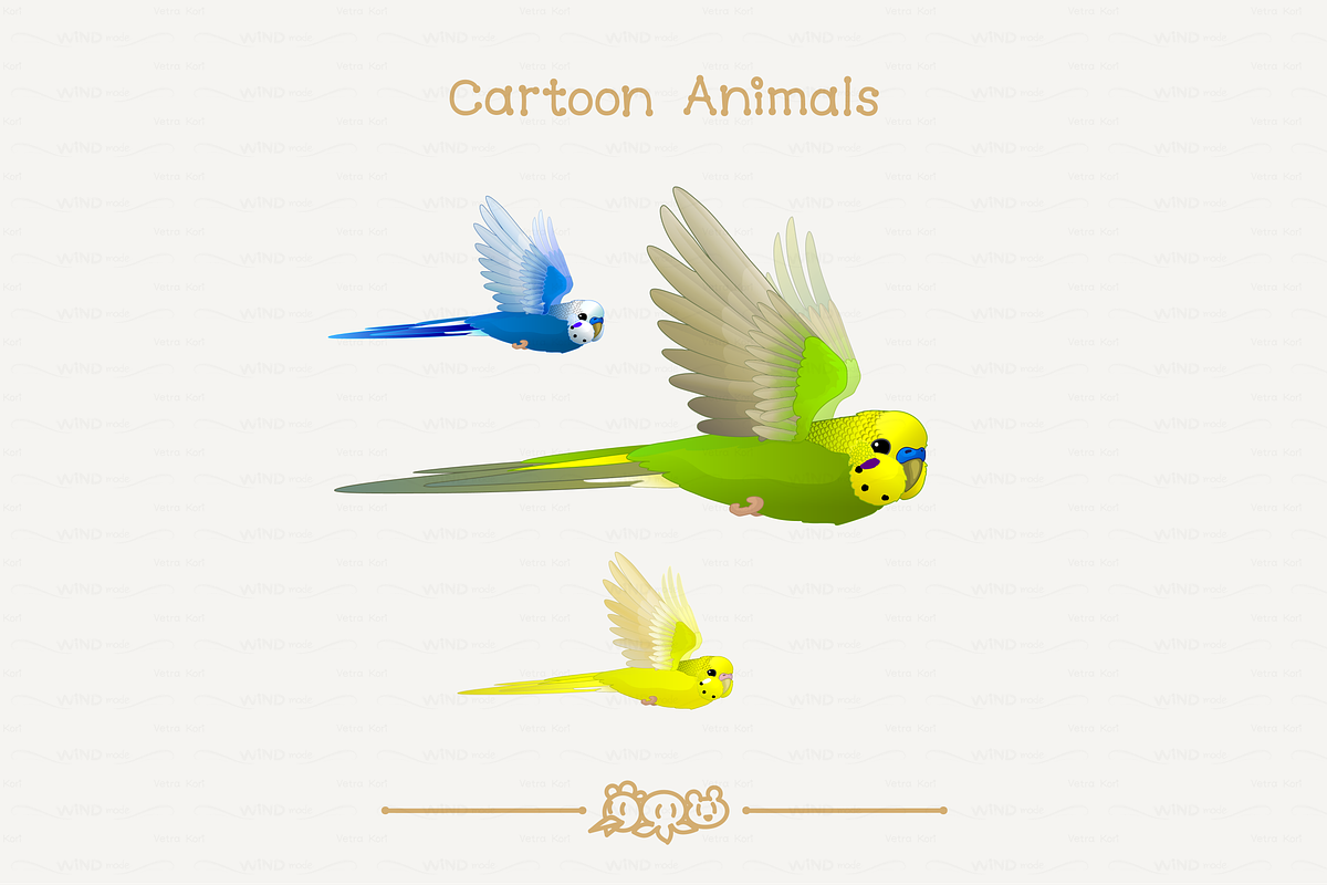 vector Australian Budgerigar in Illustrations - product preview 8