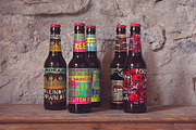 5 Perspectives Bottles | Beer Mockup