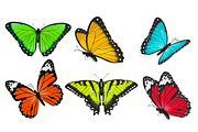Set of realistic butterflies